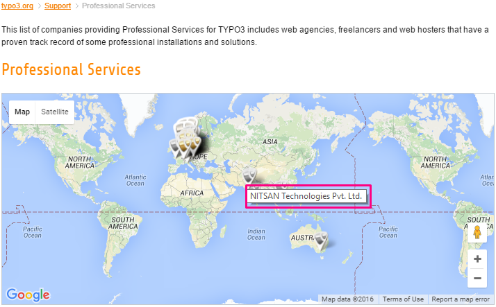 Professional Services 
