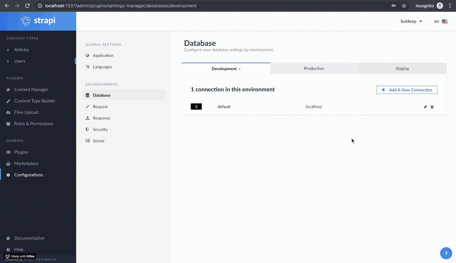 Overview Strapi Database UI